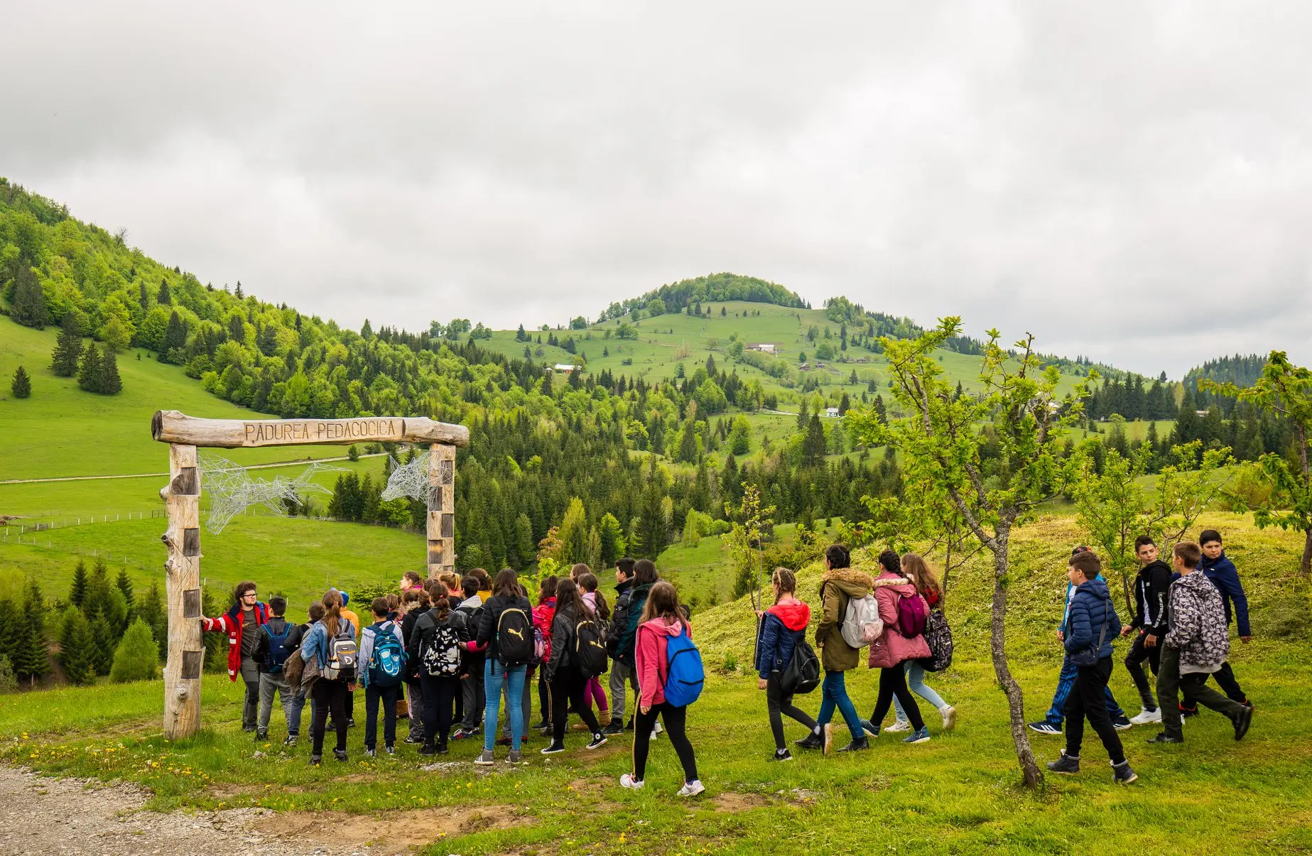 Pădurea Pedagogică