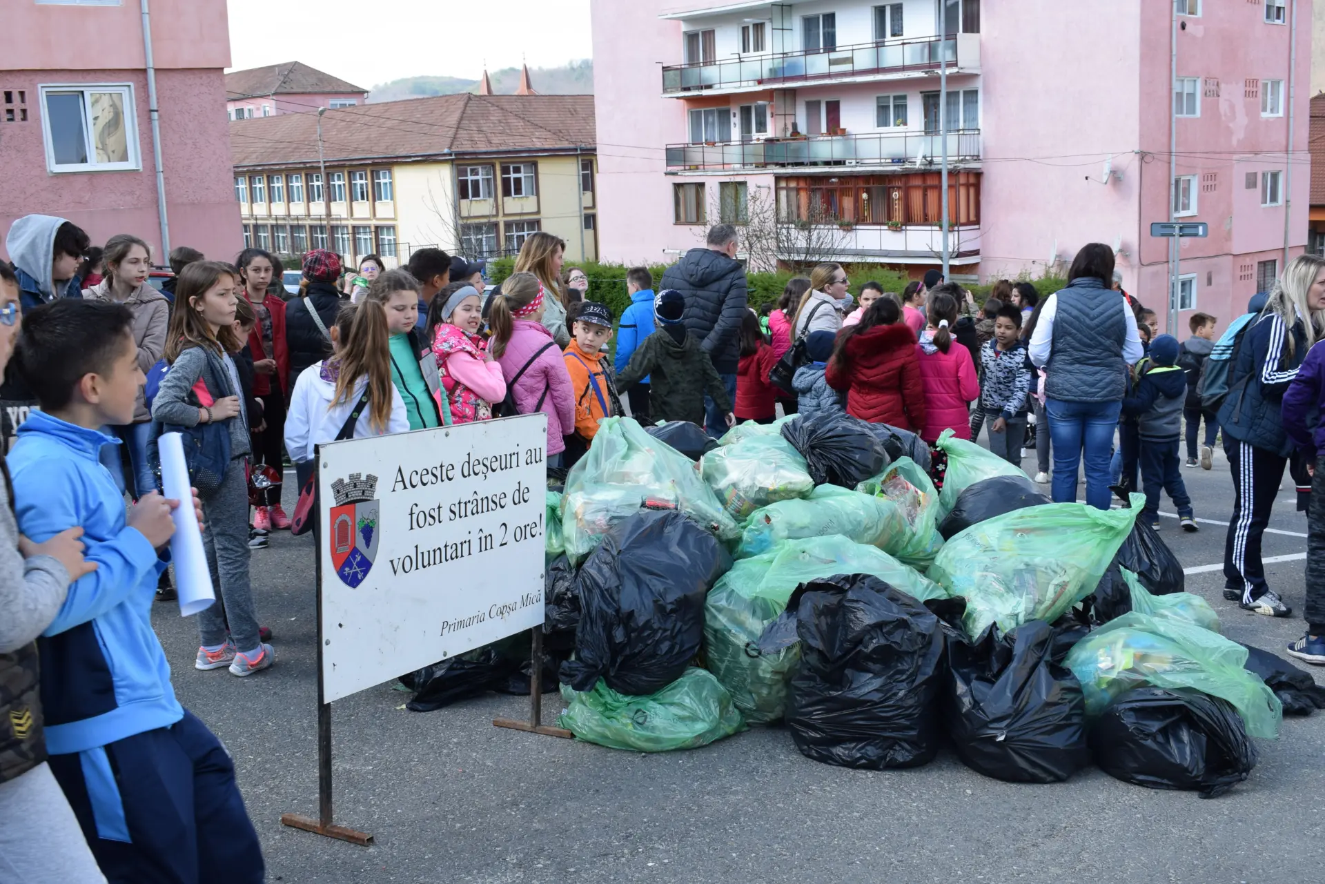 Ziua Voluntarilor Mici