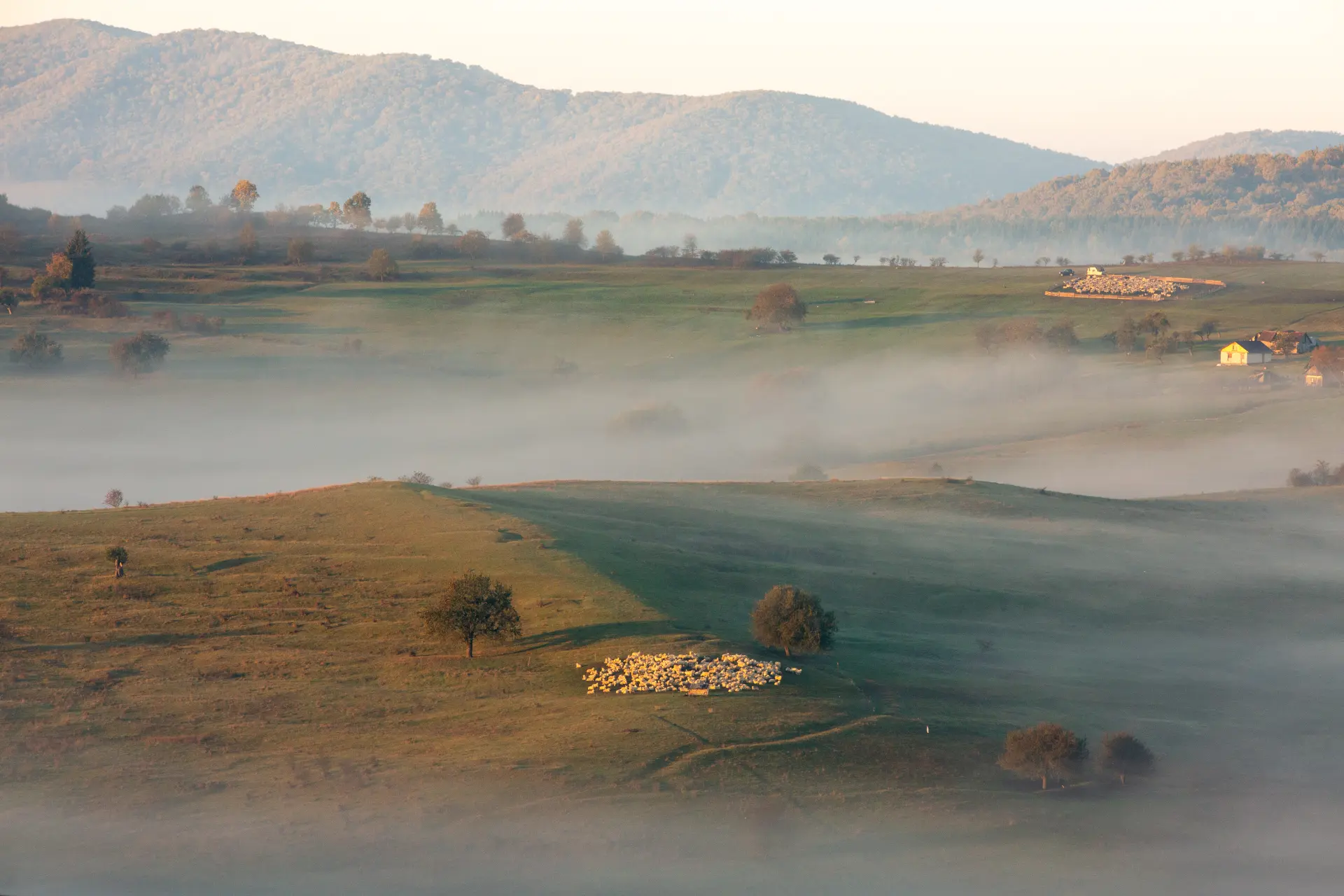 Via Transilvanica
